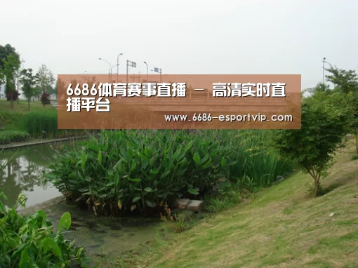 案例展示四(图1)