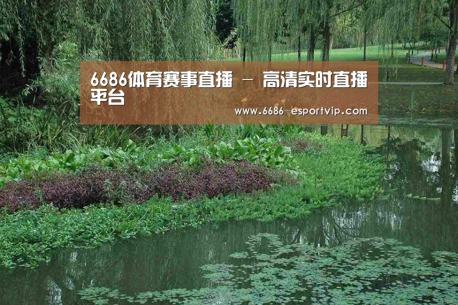 案例展示一(图1)