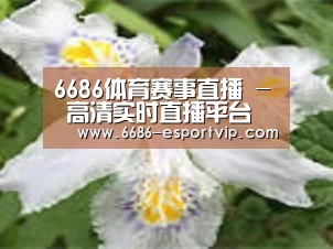 产品名称二
