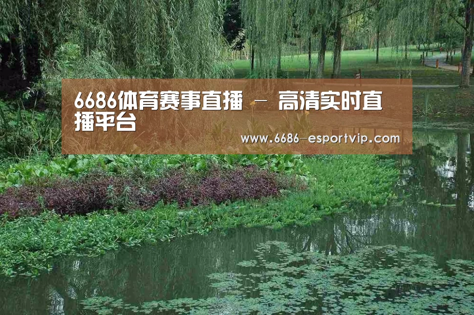 案例展示一