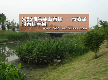 案例展示四
