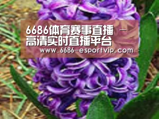 产品名称八