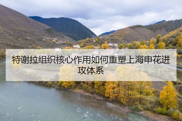 te-xie-la-zu-zhi-he-xin-zuo-yong-ru-he-zhong-su-shang-hai-shen-hua-jin-gong-ti-xi-3-280.jpg