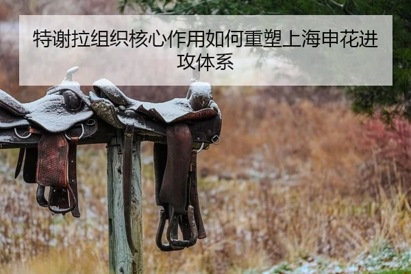 特谢拉组织核心作用如何重塑上海申花进攻体系