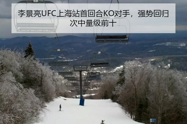 李景亮UFC上海站首回合KO对手，强势回归次中量级前十