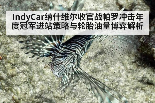 IndyCar纳什维尔收官战帕罗冲击年度冠军进站策略与轮胎油量博弈解析